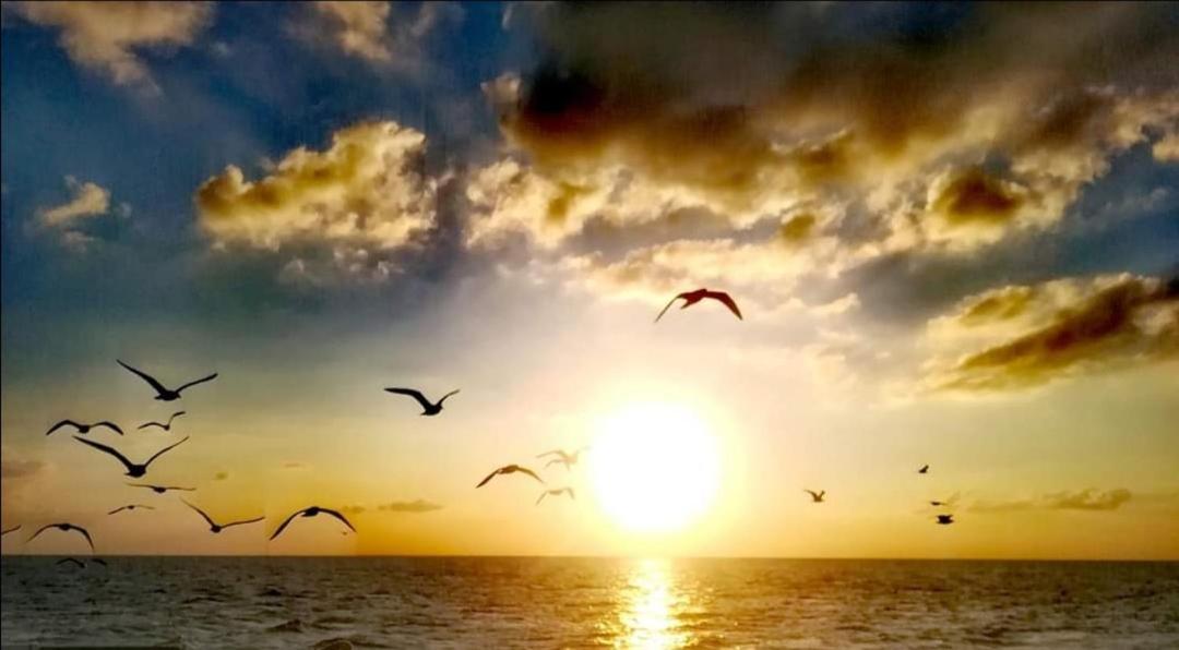 Appartamento Lido San Giovanni Gallipoli Zewnętrze zdjęcie